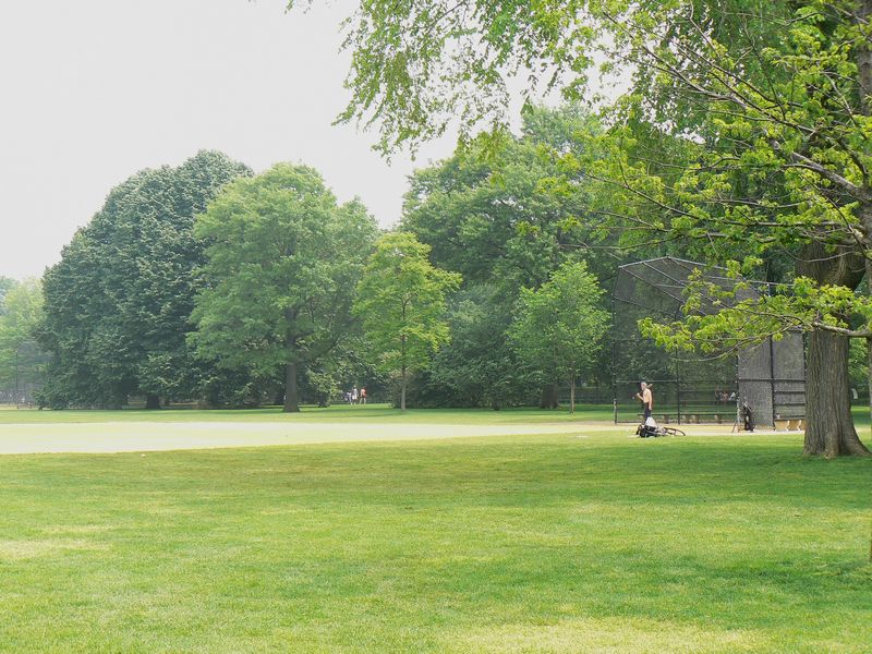 Central Park et autour: Great Lawn 2